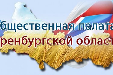 Депутаты теперь не могут быть членами Общественной палаты